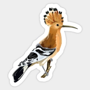 Hoopoe Sticker